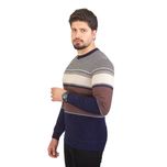 پلیور مردانه مدل  داخل خز*509