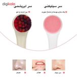 برس پاک‌سازی صورت