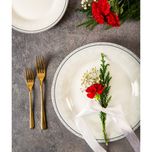 سرویس غذاخوری 108 پارچه 12 نفر چینی زرین ایران مدل وایت رز سری شهرزاد درجه یک