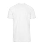 تی شرت آستین کوتاه مردانه مدل SB-SS-2189