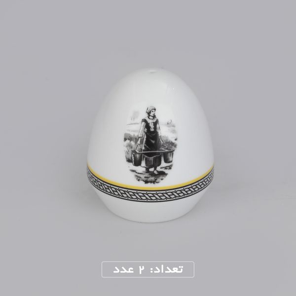 سرویس چینی 102 پارچه غذا خوری چینی زرین ایران سری ایتالیا اف مدل ویلیج درجه یک