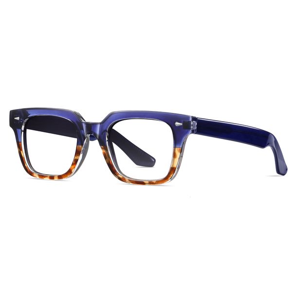 عینک محافظ چشم آلبرت وگ مدل S31105C4-1 Acetate Blue Control