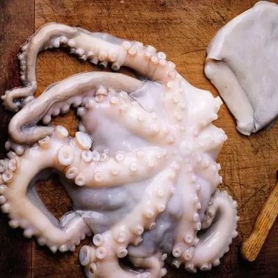 هشت پا ( اختاپوس ) Octopus