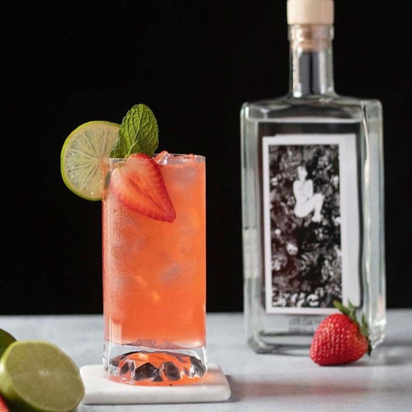 لیوان یخی 495 سی سی نوود ترک