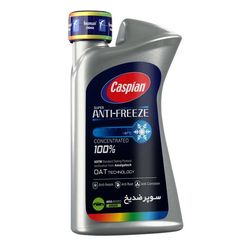 ضدیخ و ضدجوش 100 درصد خالص کاسپین مدل Four Seasons حجم 900 میلی‌ لیتر