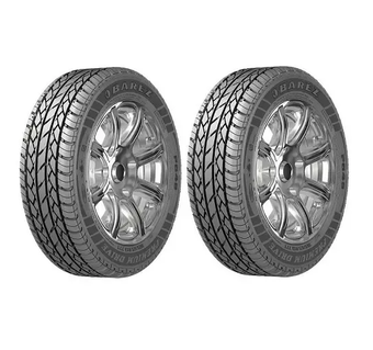 لاستیک بارز سایز 165/65R13 گل P660 دو حلقه ای