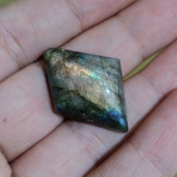 لابرادوریت3