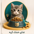 غذای خشک گربه