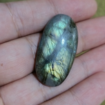 لابرادوریت3