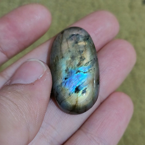 لابرادوریت3