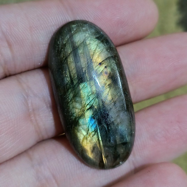 لابرادوریت3