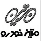 متین خودرو