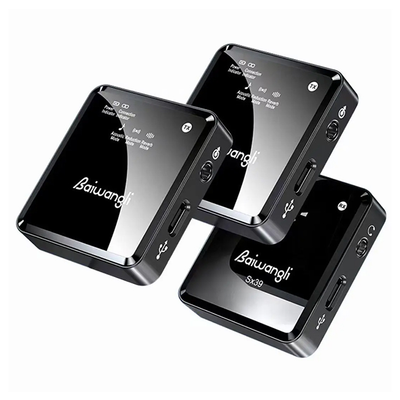 میکروفون بی سیم دو کاناله Baiwangli SX39