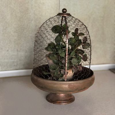 ظرف دکوراتیو درتوری