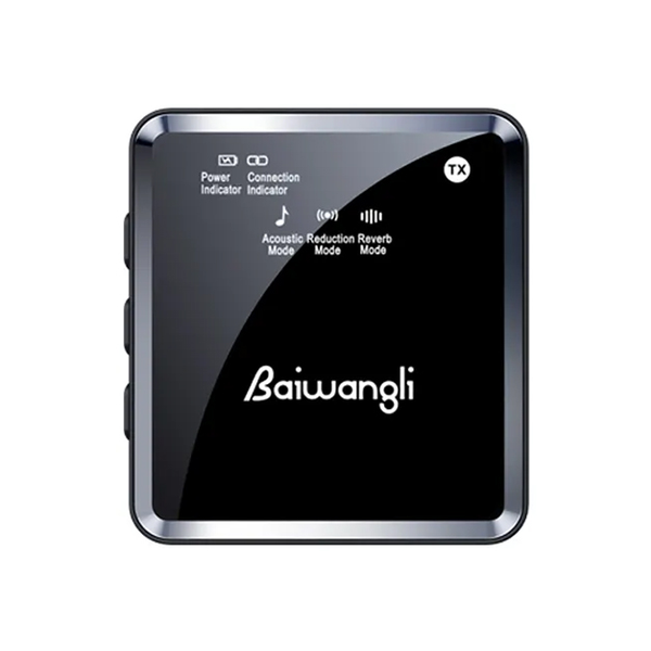 میکروفون بی سیم تک کاناله Baiwangli SX39 Lightning
