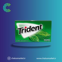 آدامس تریدنت نعنا Trident