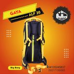 کوله پشتی 30 لیتری مدل آلپ