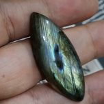 لابرادوریت3