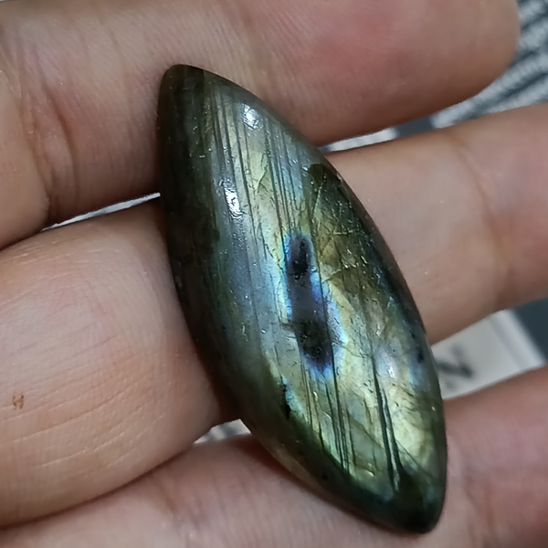 لابرادوریت3