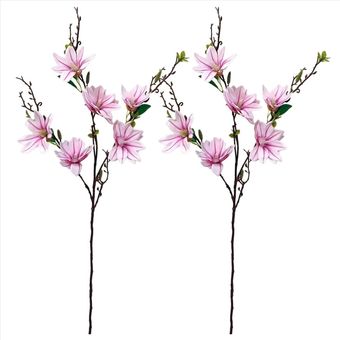 شاخه شکوفه مگنولیا بسته دو عددی