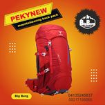 کوله پشتی پکینیو مدل Aries 45+5L