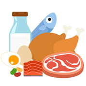 پروتئین و تخم مرغ