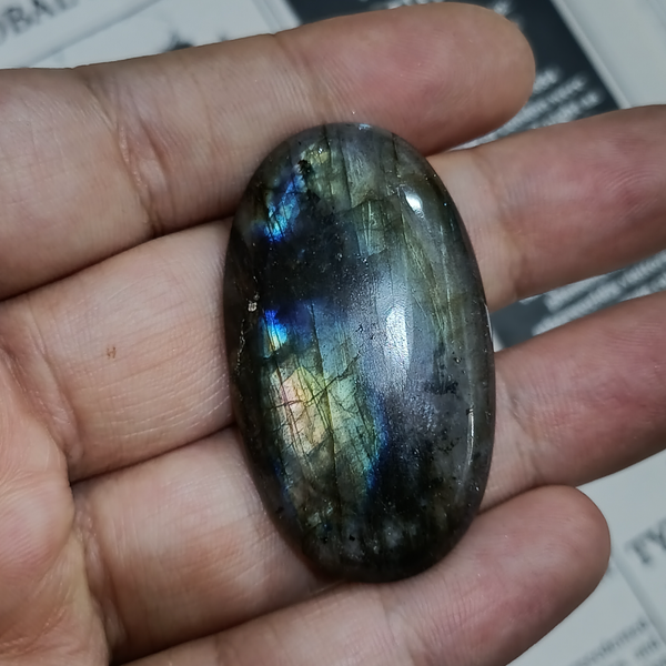 لابرادوریت3