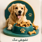 تشویقی و مکمل سگ