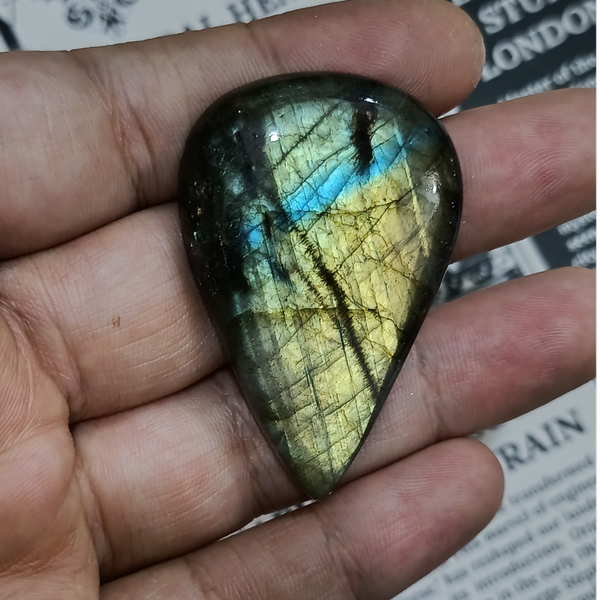 لابرادوریت3