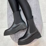 بت زارا وودلند کد 272