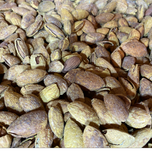 بادام کاغذی (منقا)