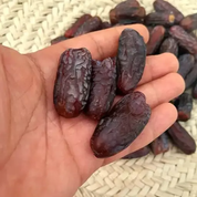 خشکبار و خرما