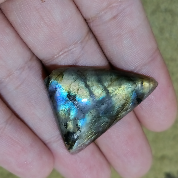 لابرادوریت3