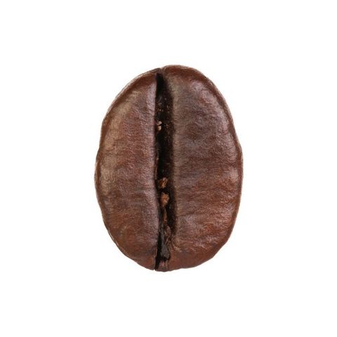 روبوستا