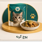 پوچ گربه