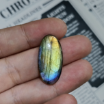 لابرادوریت3