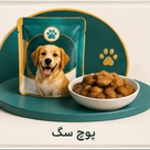 پوچ سگ