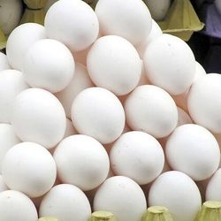 تخم مرغ بسته ده عددی