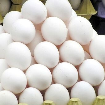 تخم مرغ بسته ده عددی