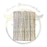 چاپستیک بامبو 100 عددی 23 سانت تمام کاور