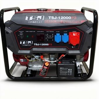 موتور برق 8/5 کیلو وات TSJ مدل 12000E