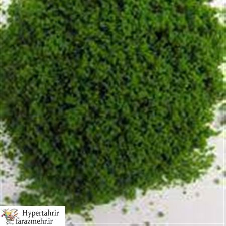 لوازم ماکت  پودر - اسفنج  چمن کومه