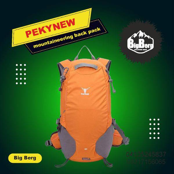 کوله پشتی پکینیو مدل تبریز 20