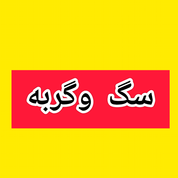 سگ و گربه