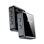 میکروفون بی سیم دو کاناله Baiwangli SX39