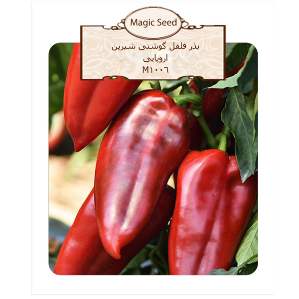 بذر فلفل الیا 1006