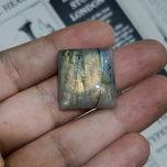 لابرادوریت3