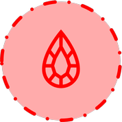 محصول پامچال