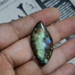 لابرادوریت3