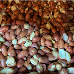 بادام زمینی با پوست